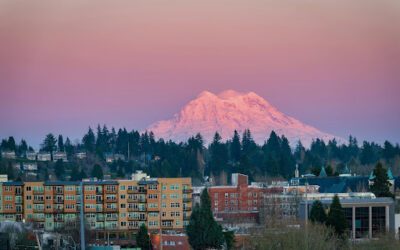 The Local Advantage: Choosing A Washington Insurance Company